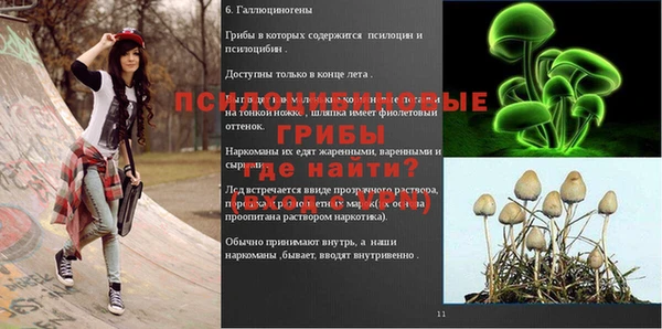 экстази Алзамай