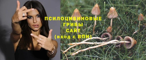 амф Абдулино