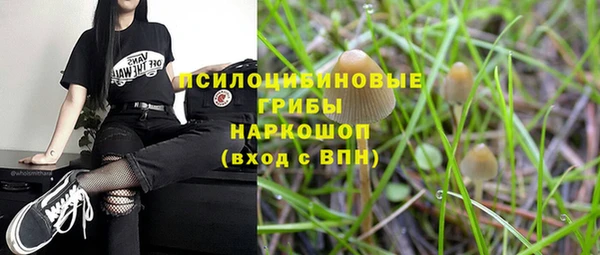 МДПВ Абаза
