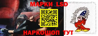 гидра Ставрополь