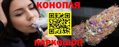 гидра Ставрополь