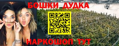 гидра Ставрополь